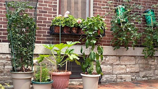 Container Gardening 101 | Wheeler Historic Farm Outdoor Education Center