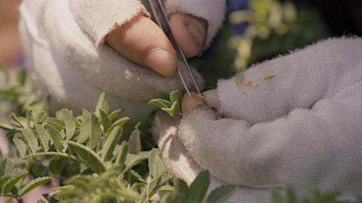 Public Reception—Seeds: Containers of a World to Come | Mildred Lane Kemper Art Museum
