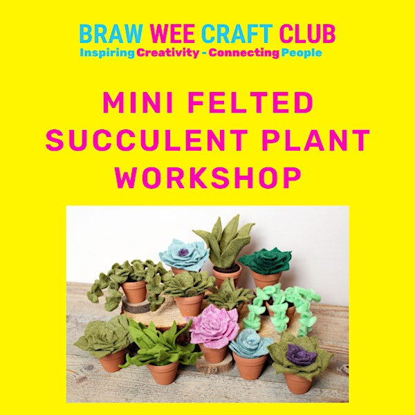 Mini Felted Succulent Plant Workshop at Braw Wee Craft Club | Central Chambers