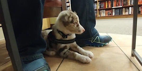 Training Class - Puppy Leash Skills & Manners | The Dog House Day Care