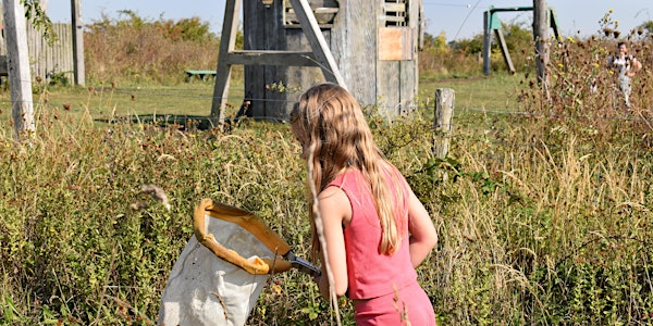 Abberton Home Education Insects & Invertebrates | Abberton Reservoir Nature Discovery Park