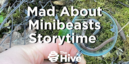 Mad About Minibeasts Woodland Storytime | The Hive