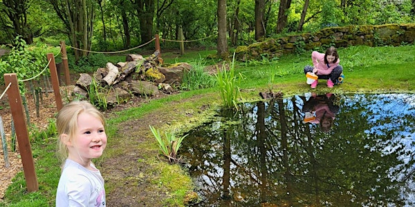 Saturday Forest Fun | The Kingswood Trust