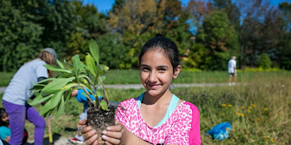 Wildflower Planting Event @ Kortright Centre for Conservation | Kortright Centre for Conservation