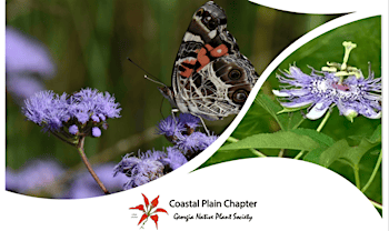 Native Plants for a Resilient Tomorrow | Garden Center