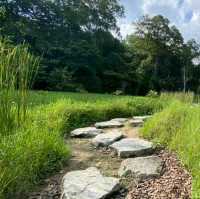 Singapore’s first ASEAN Heritage Park