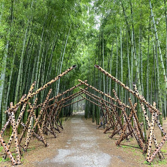 若竹の杜 若山農場 🎋