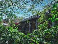新竹關西東安古橋｜日治時期興建的古橋，知名電影拍攝景點