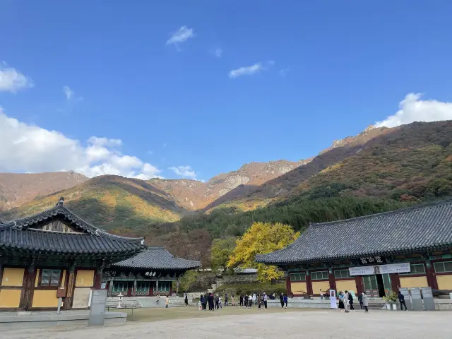 드라이브와 산책 둘 다 잡을 수 있었던 가족나들이, 밀양 표충사