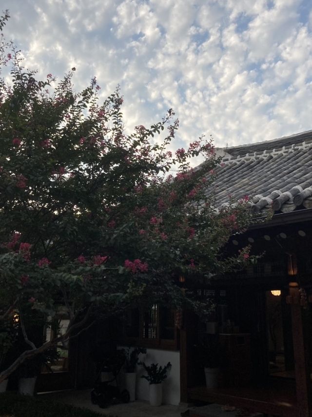 고즈넉한 한옥마을 카페 추천 🤍