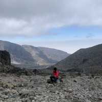 Cool Hiking at Kilimanjaro