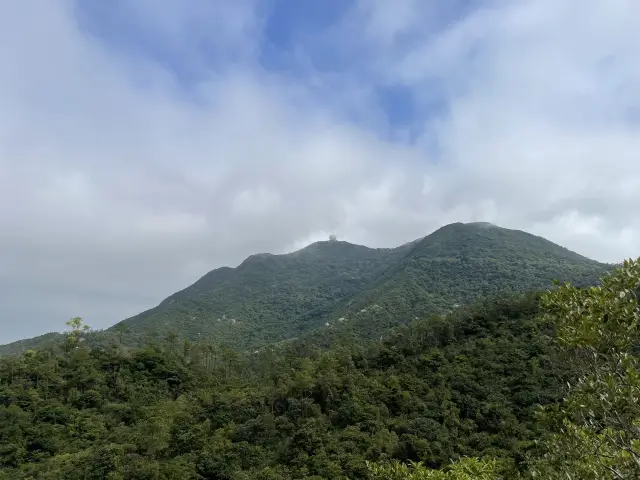 港島最高之柏架山遊🌳