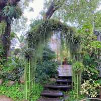 免日曬雨淋！室內花房用餐，享受春季旅行的浪漫氣氛！