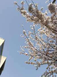 부산 해운대 달맞이길 걸어서 구경하기 