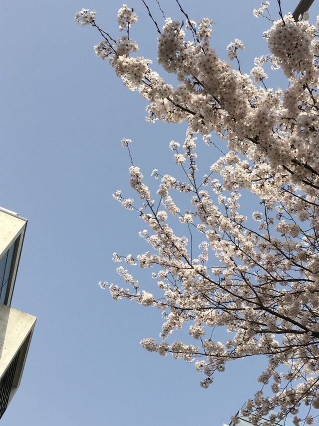부산 해운대 달맞이길 걸어서 구경하기 