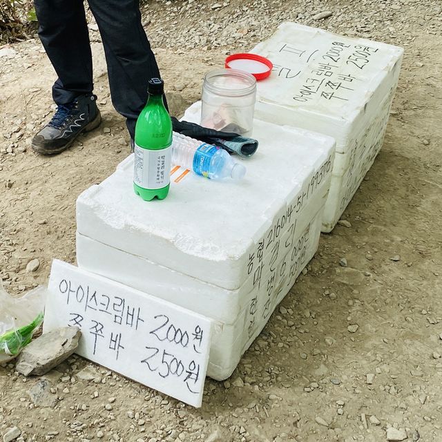 소나무 가득한 공기좋은 산 , 계양산 