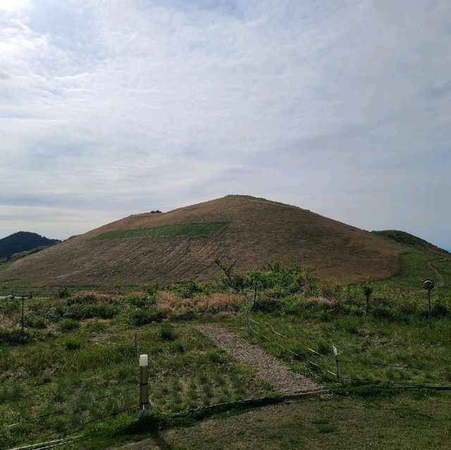 제주 새별 오름 가봤습니다.