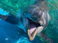 海の動物たちととても距離が近い水族館🐬