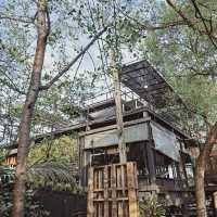 บางกอก ทรี เฮาส์ (Bangkok Tree House)