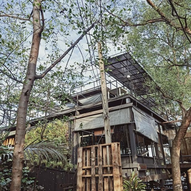 บางกอก ทรี เฮาส์ (Bangkok Tree House)
