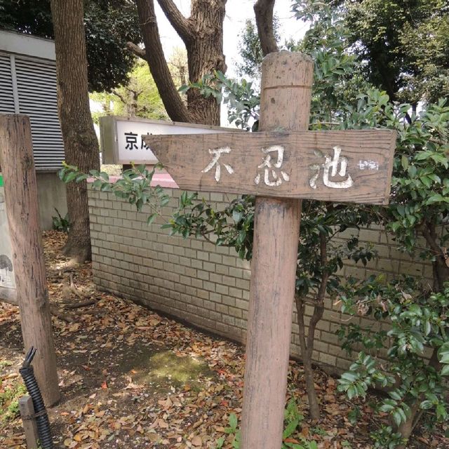 天然池塘美景