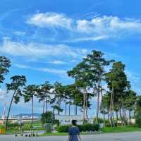 [대구놀곳] 노을과 함께 타는 스쿠터🛵🌅 | 대구 강정보 디아크