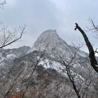 서울을 한눈에 내려다 볼 수 있는 [북한산 국립공원]