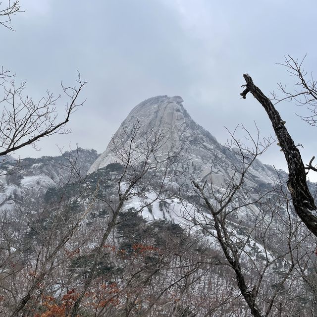 서울을 한눈에 내려다 볼 수 있는 [북한산 국립공원]