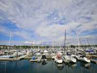 빅토리아 Oak Bay Marina 피아노연주