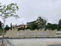 Kapit, Song