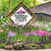 Singapore Botanic Gardens