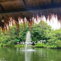 Natural Life เพาะรัก