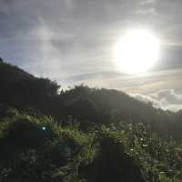 即興睇日出 🌅 牛🐃 出沒注意 ‼️