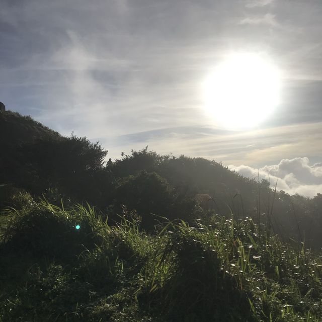 即興睇日出 🌅 牛🐃 出沒注意 ‼️