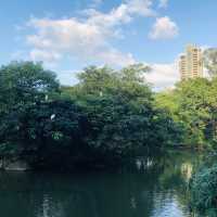 風光明媚🪷🌤Daan Forest Park 大安森林公園