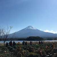 ทะเลสาบ คา~วา~กุ~จิ~โก๊ะ ญี่ปุ่น 🇯🇵