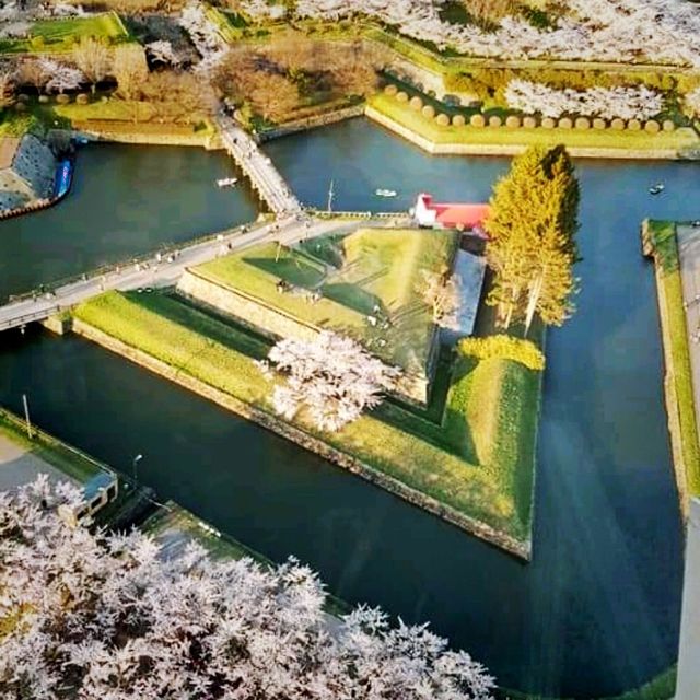 The View From Above, Goryokaku Tower