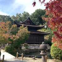 きれいな庭園と国宝の建物、土岐川を望む事も出来る歴史ある禅寺