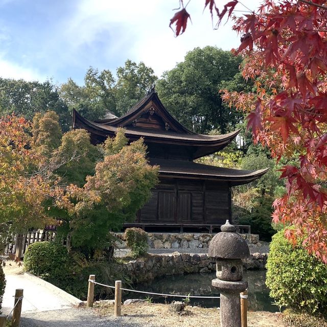 きれいな庭園と国宝の建物、土岐川を望む事も出来る歴史ある禅寺