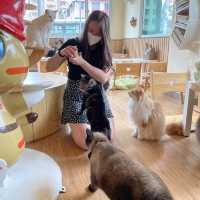 喵🐱cafe 之初體驗☕️