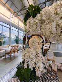 Boonta Café สไตล์ glasshouse เหมือนนั่งอยู่ในสวน