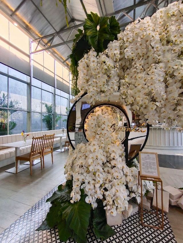 Boonta Café สไตล์ glasshouse เหมือนนั่งอยู่ในสวน