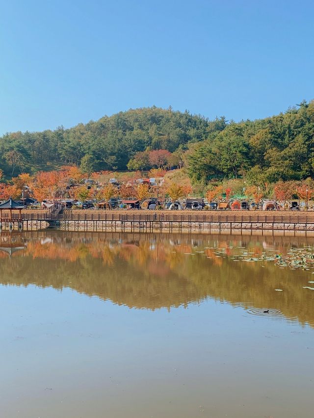 저수지뷰가 매력적인, 가성비 캠핑장 "태화연캠핑장"