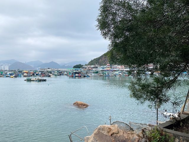 超美海景散步路線｜南丫島