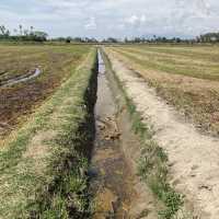 Countryside Lifestyle at Kg Agong