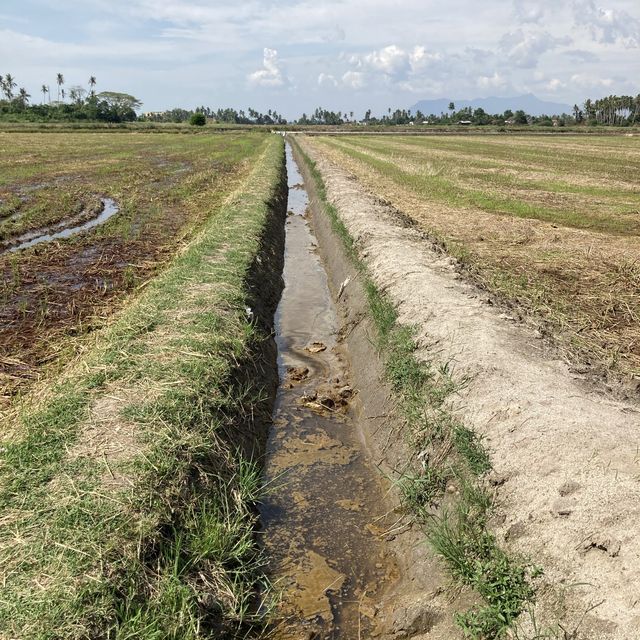 Countryside Lifestyle at Kg Agong