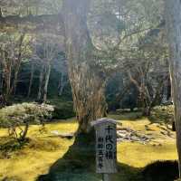【銀閣寺】日本庭園🇯🇵