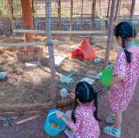 เที่ยวสวนสัตว์ Exotic Pets ที่ขอนแก่น