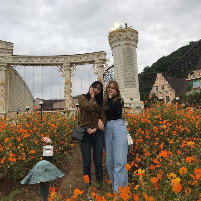 언제가든 행복한 곳, 에버랜드🎡