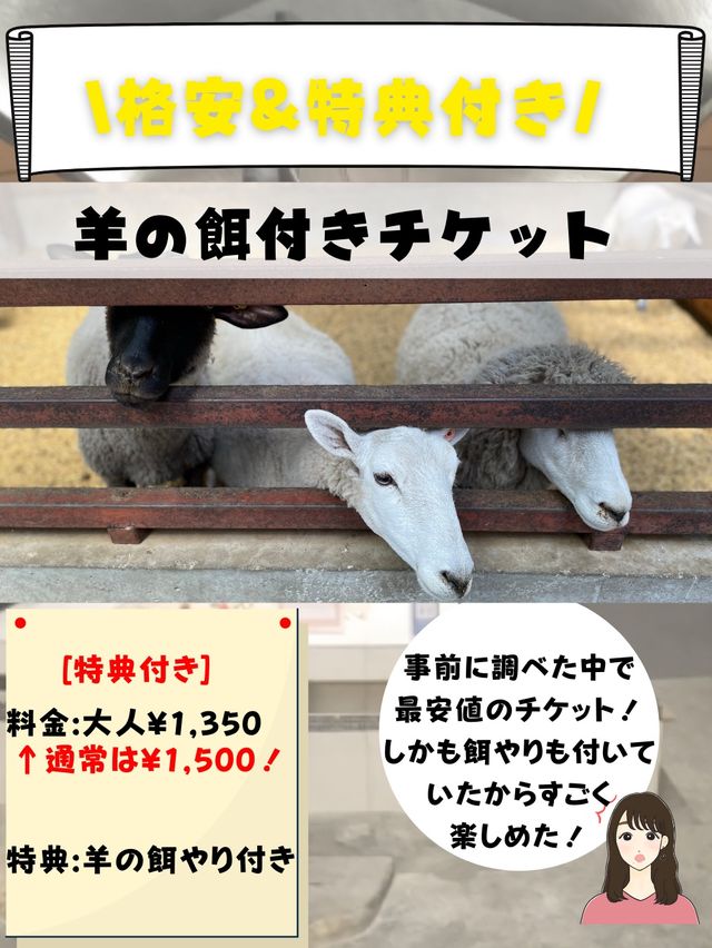 動物だけじゃない！[満開のお花畑&超お得なチケット付き！]マザー牧場行く前にチェック！